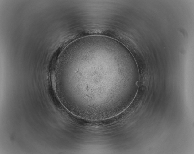 X0000113960743200909251359