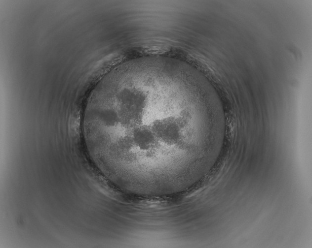 X0000113960745200909251400