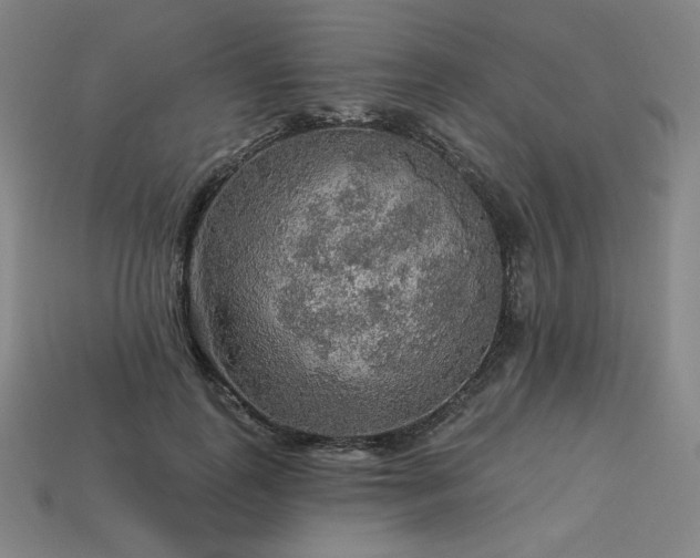 X0000113960747200909251400