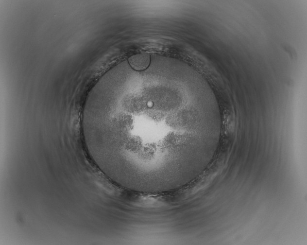 X0000113960753200909251400