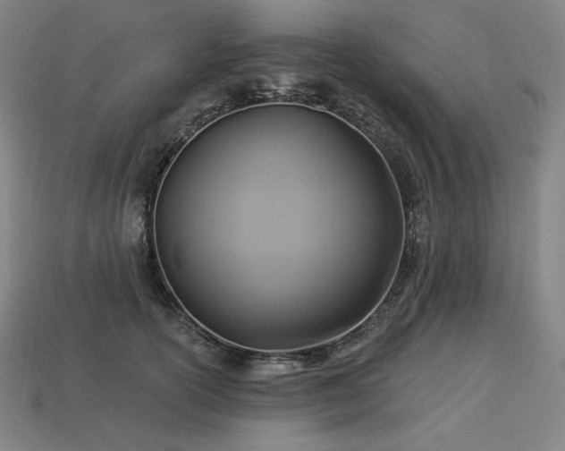 X0000113960754200909251400