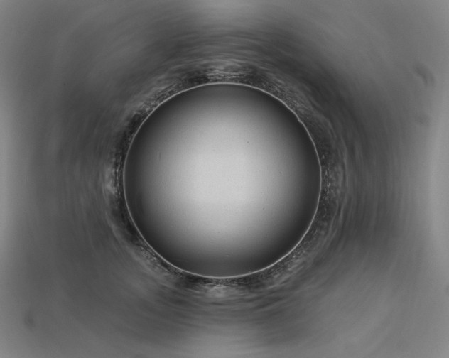 X0000113960755200909251400