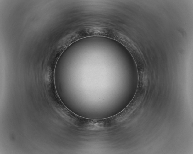 X0000113960760200909251400