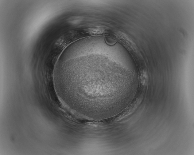 X0000113960763200909251400