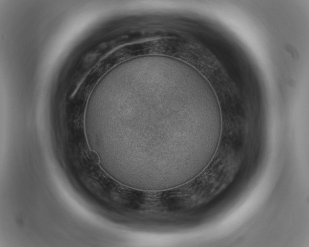 X0000113960766200909251400