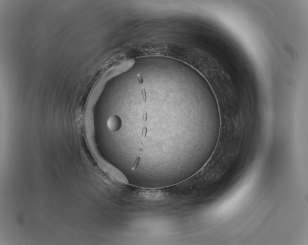 X0000113960767200909251400