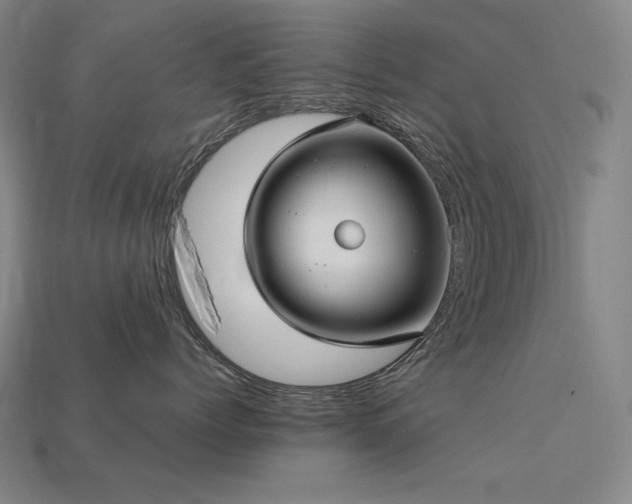 X0000113960768200909251400