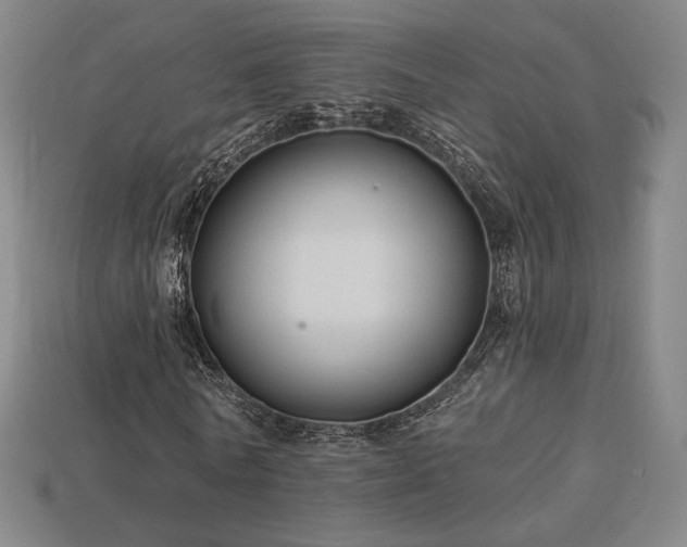 X0000113960770200909251359