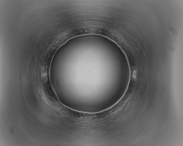 X0000113960771200909251359