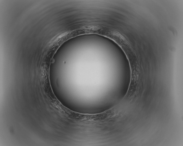 X0000113960773200909251359