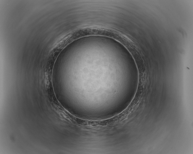 X0000113960774200909251359