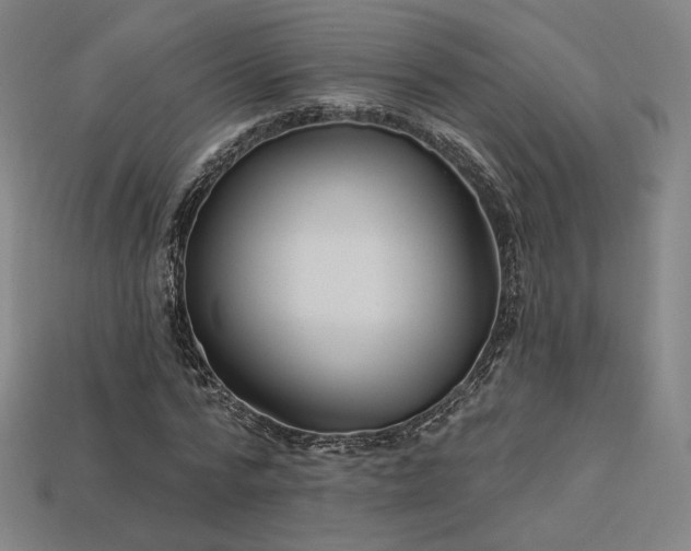 X0000113960776200909251359