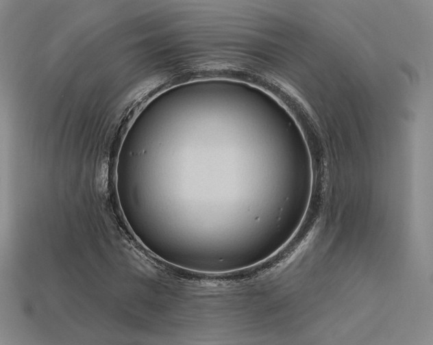 X0000113960777200909251359