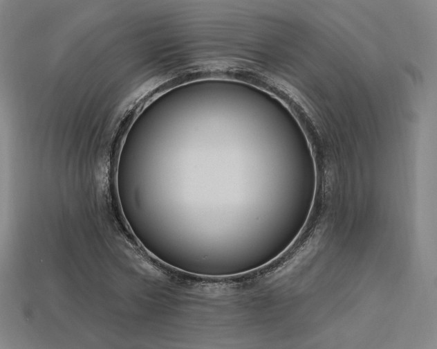 X0000113960778200909251359