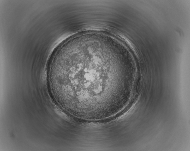 X0000113960779200909251359