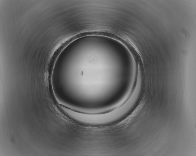 X0000113960781200909251359