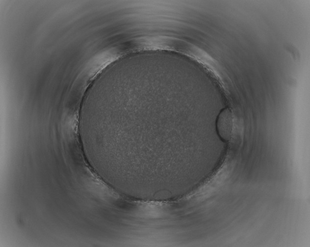 X0000113960785200909251359