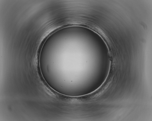 X0000113960787200909251359