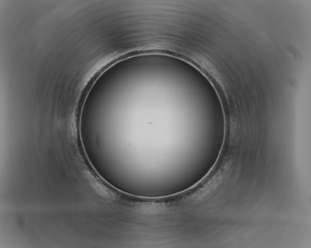 X0000113960789200909251359