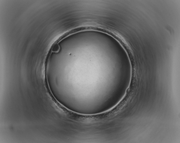 X0000113960791200909251359