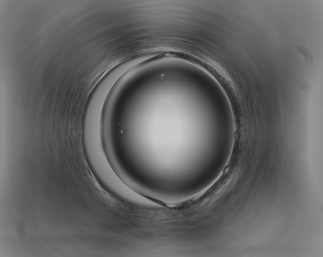 X0000113960793200909251359