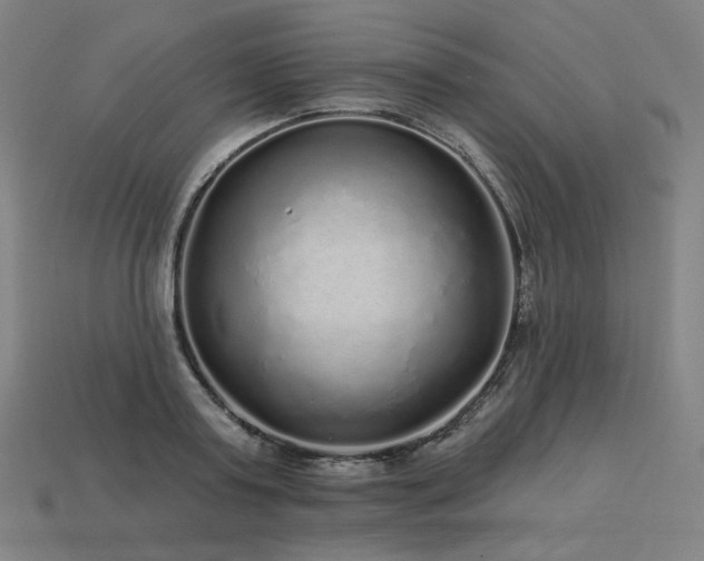 X0000113960795200909251359