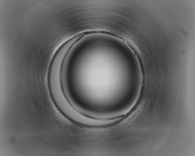 X0000113960797200909251359