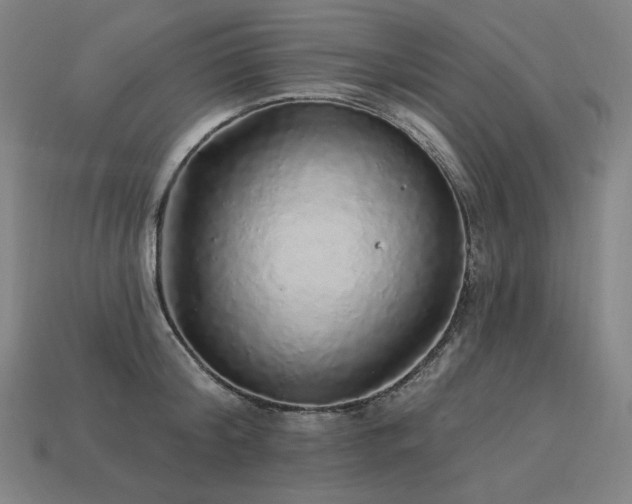 X0000113960804200909251359