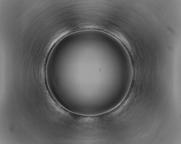 X0000113960806200909251359