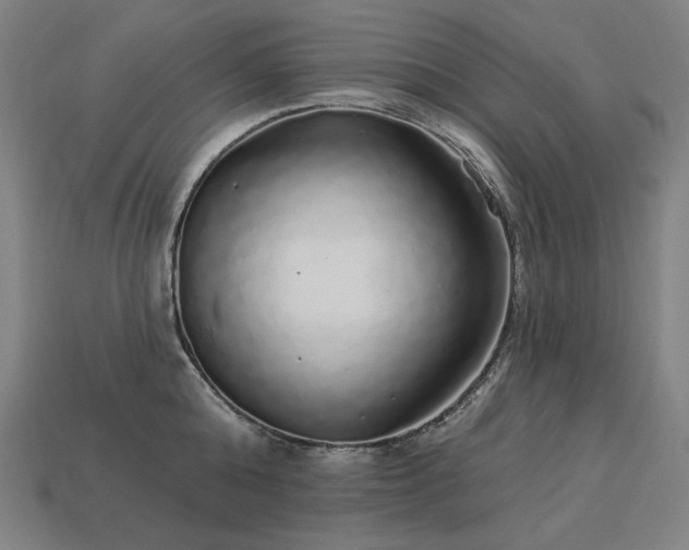 X0000113960808200909251359