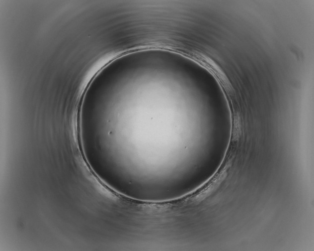 X0000113960812200909251359
