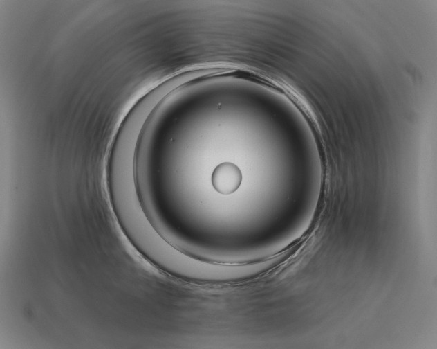 X0000113960813200909251359