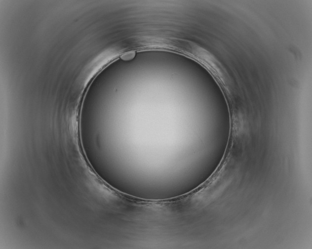 X0000113960814200909251359