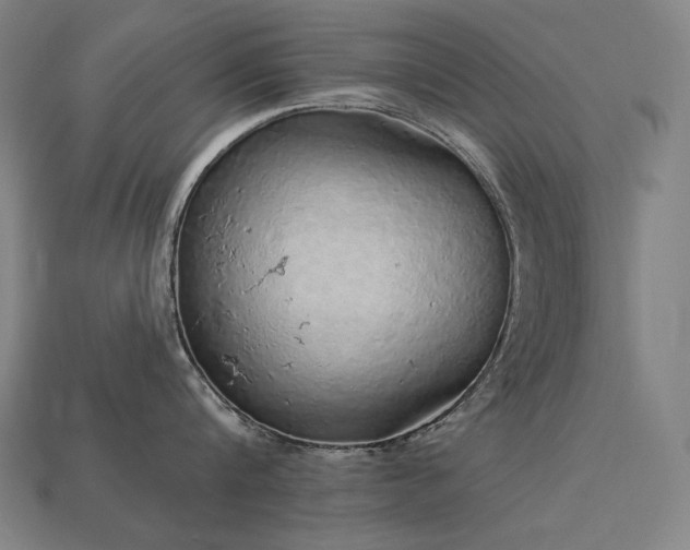 X0000113960816200909251359