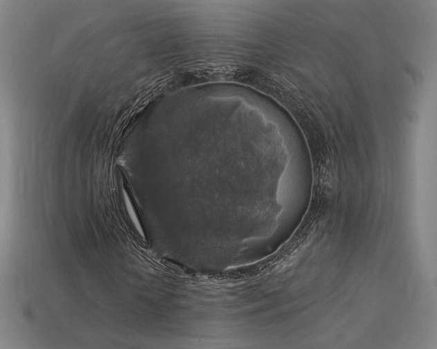 X0000113960818200909251358
