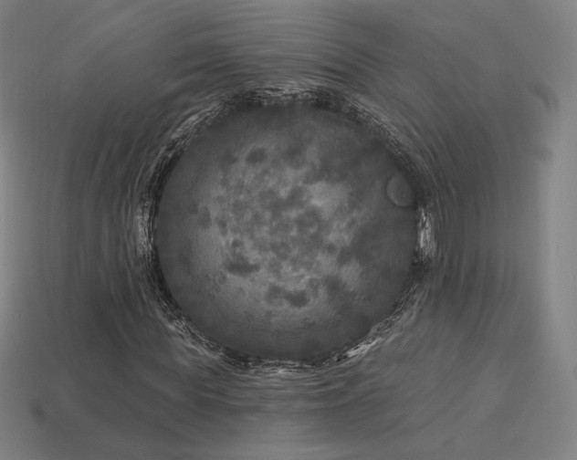 X0000113960819200909251358