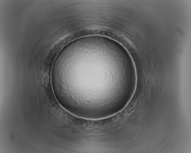 X0000113960821200909251358