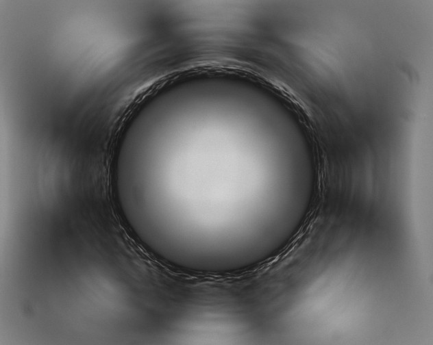 X0000113960822200909251358