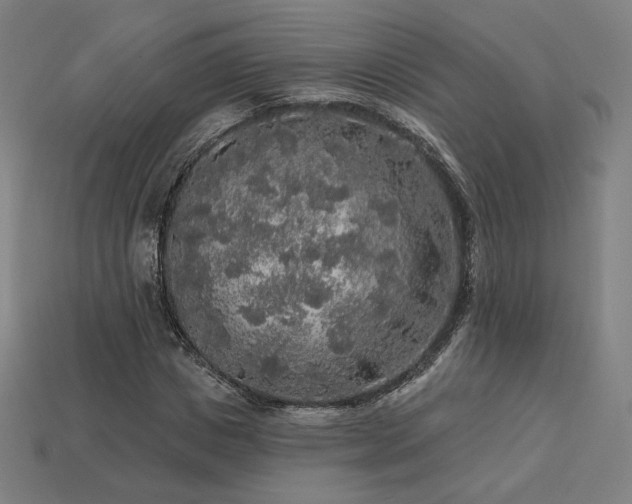 X0000113960825200909251358