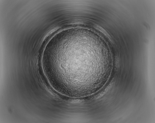 X0000113960826200909251358