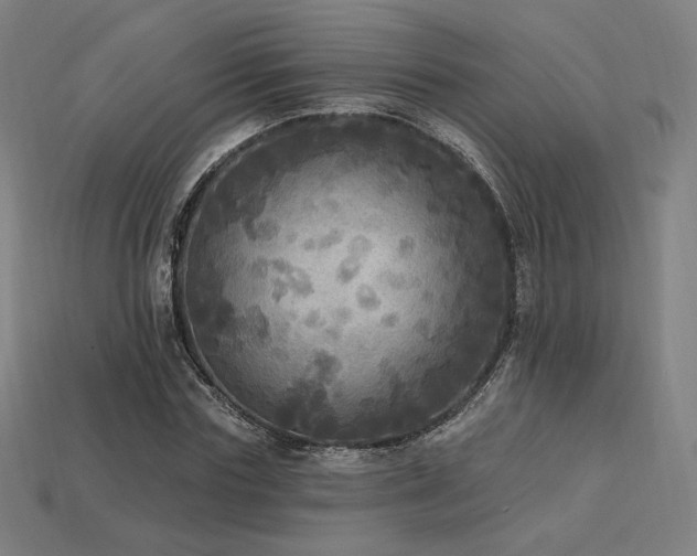 X0000113960827200909251358