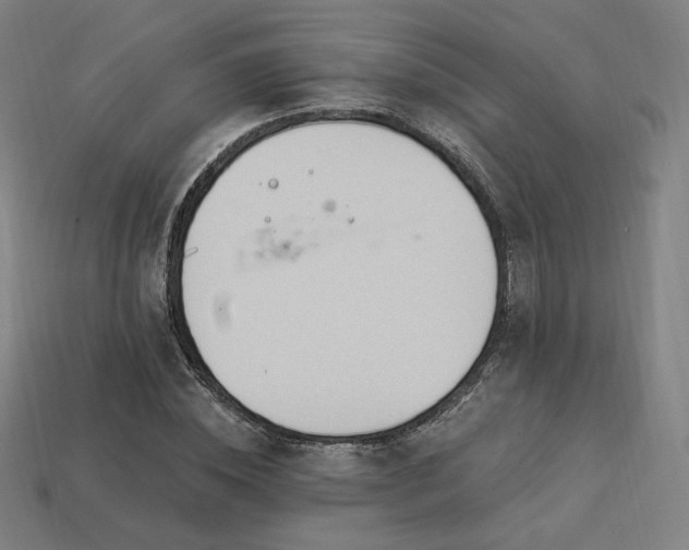 X0000113960828200909251358