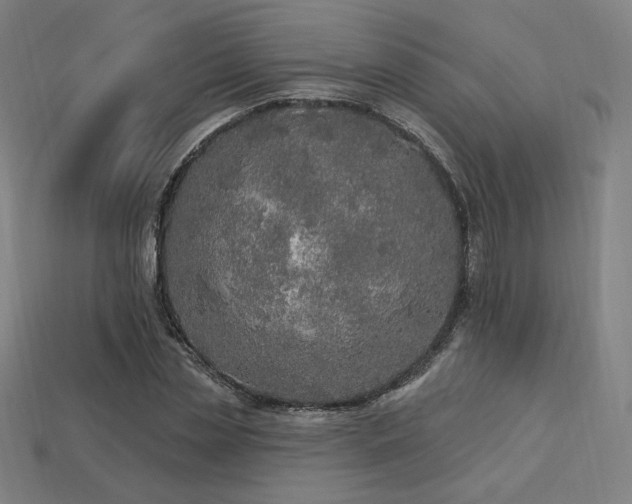 X0000113960829200909251358