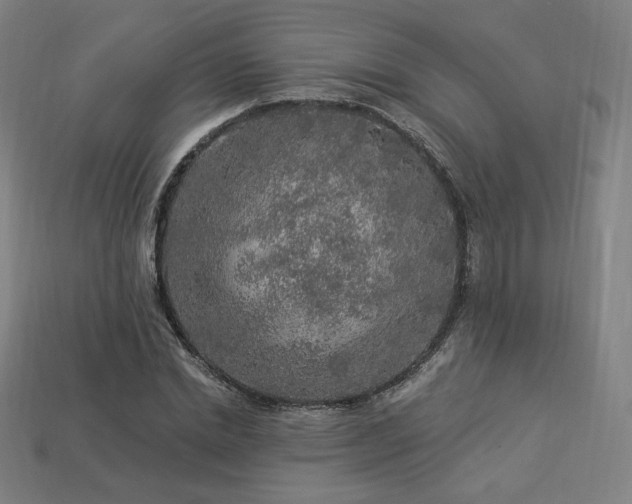 X0000113960830200909251358