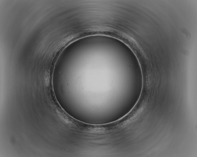 X0000113960833200909251358