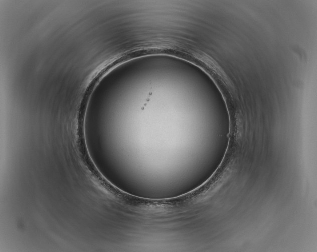 X0000113960834200909251358