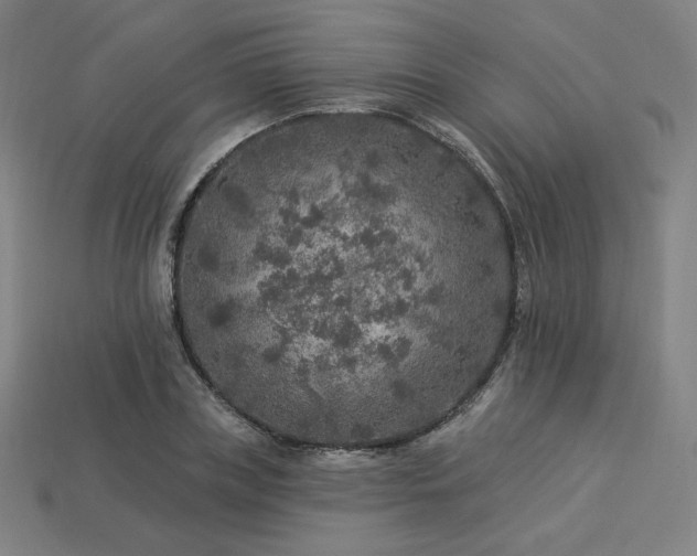 X0000113960835200909251358