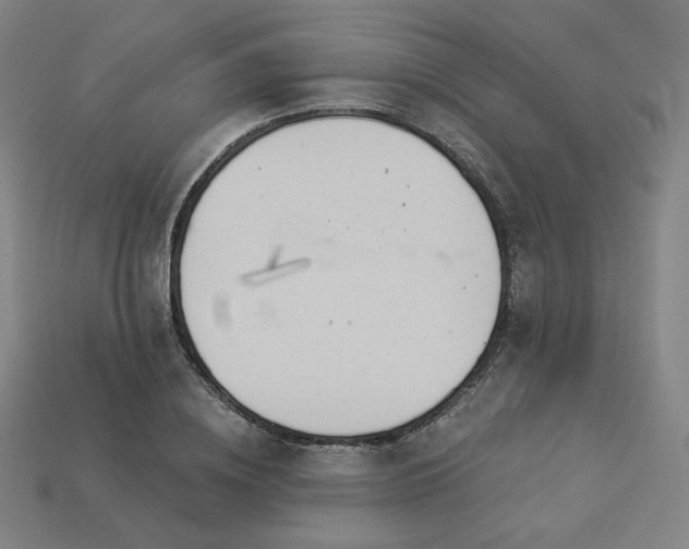 X0000113960836200909251358