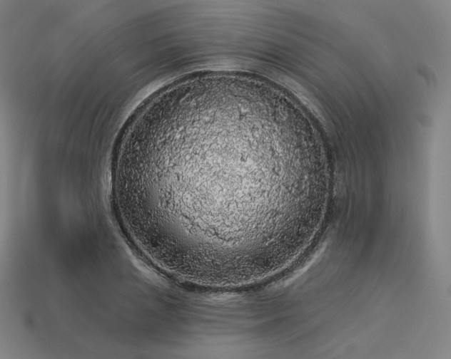 X0000113960837200909251358