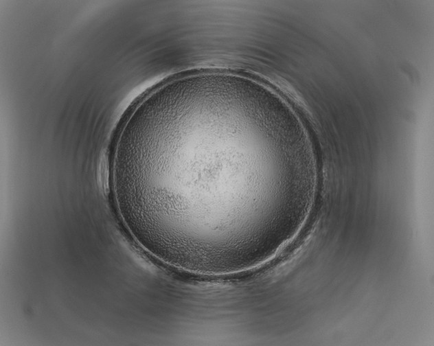X0000113960838200909251358
